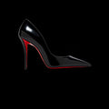 Christian Louboutin heels (red bottoms)